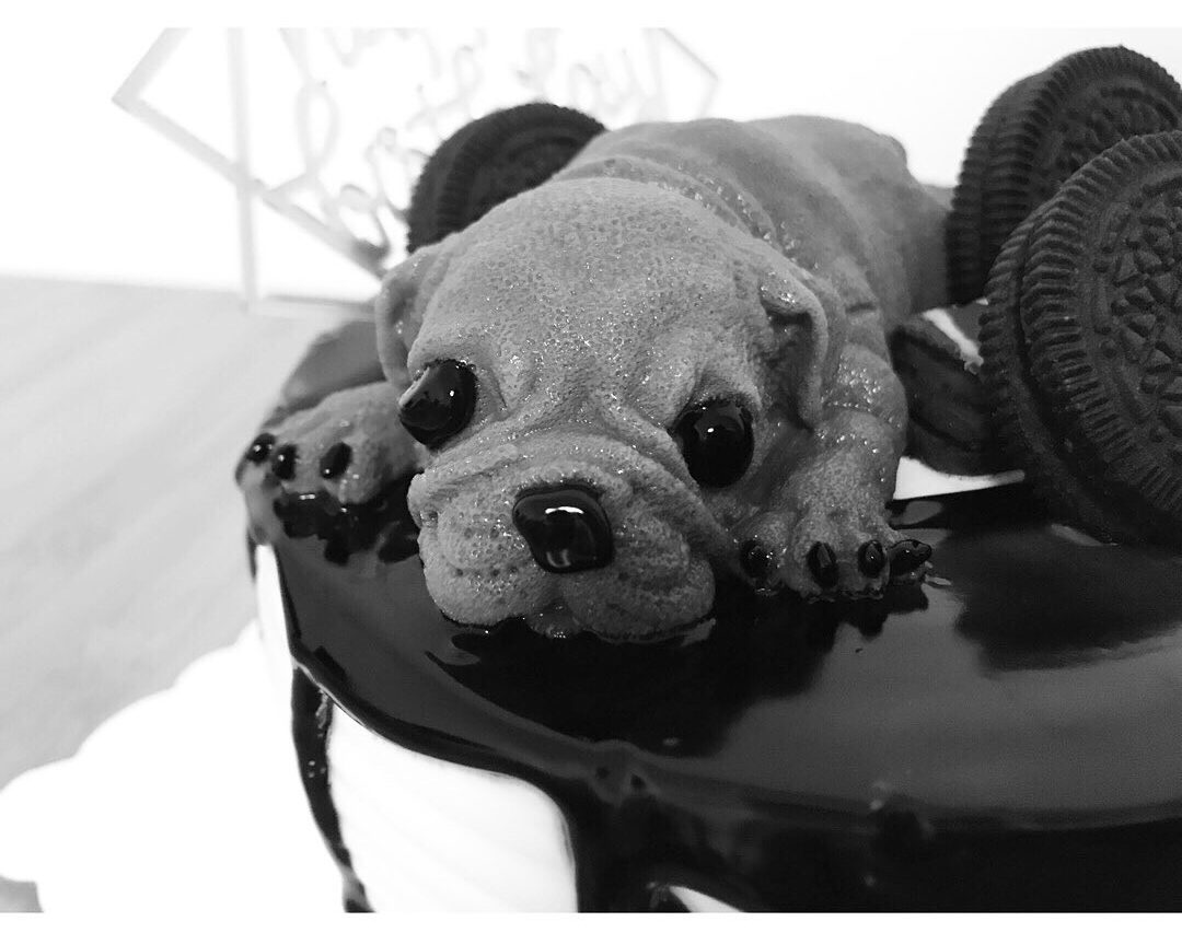中国のリアルすぎる 犬型ケーキ はインスタ萎え率1 だった