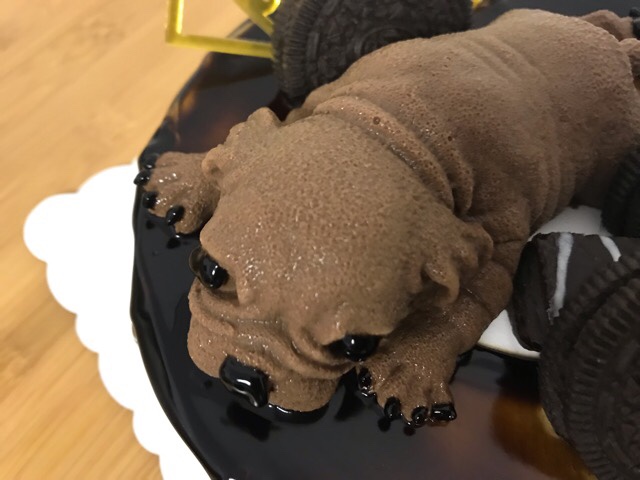 中国のリアルすぎる犬ケーキを食べてみた｜リモートガール