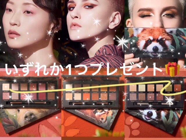 中国コスメプレゼント企画「perfectdiary」アイシャドウ